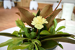 MEET ME AT THE COURT HOUSE